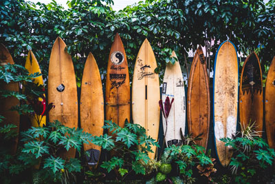 surf